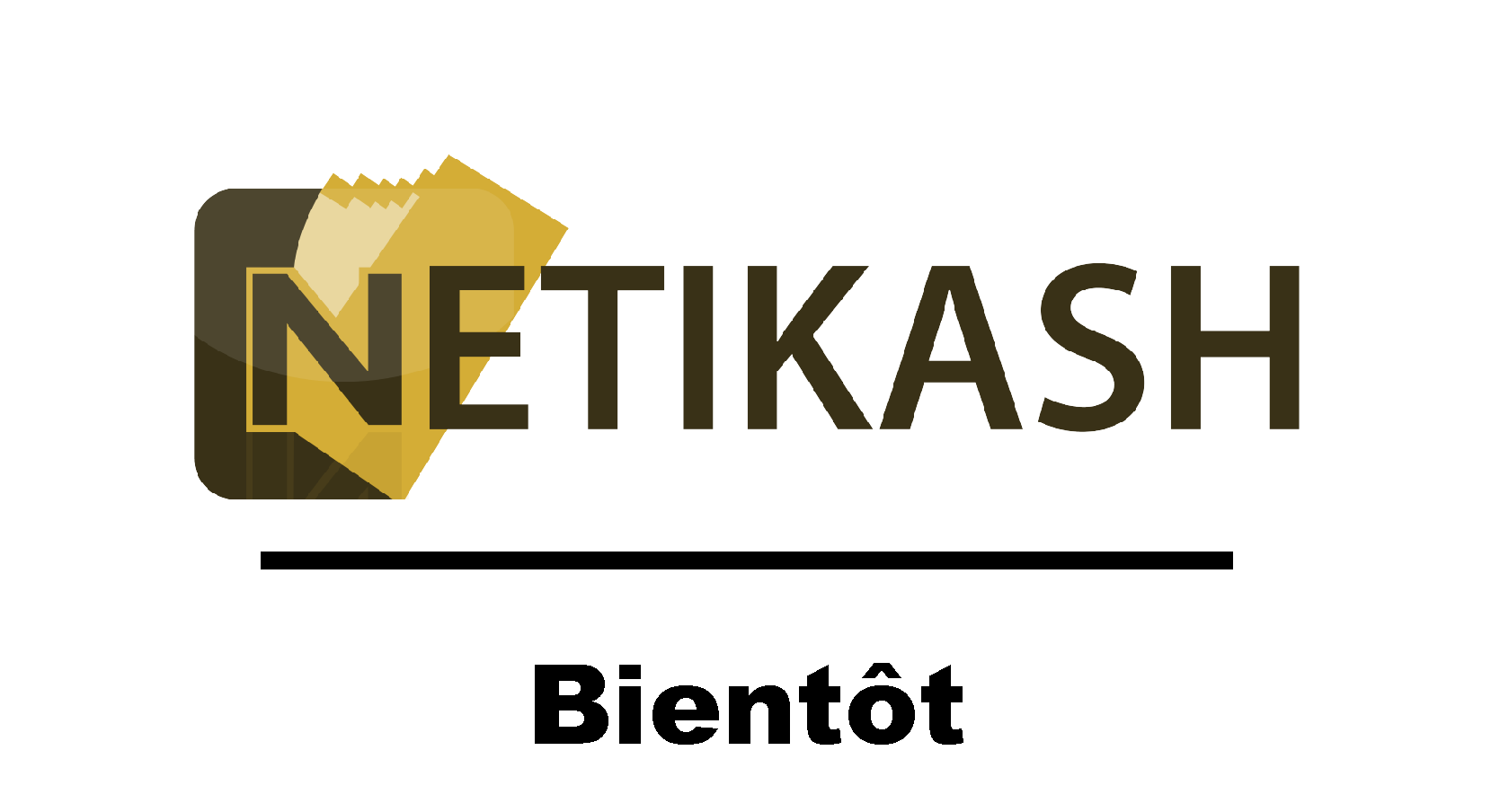 netikash